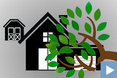 Tree Damage - Are You Insured? - Central Insurance Blog