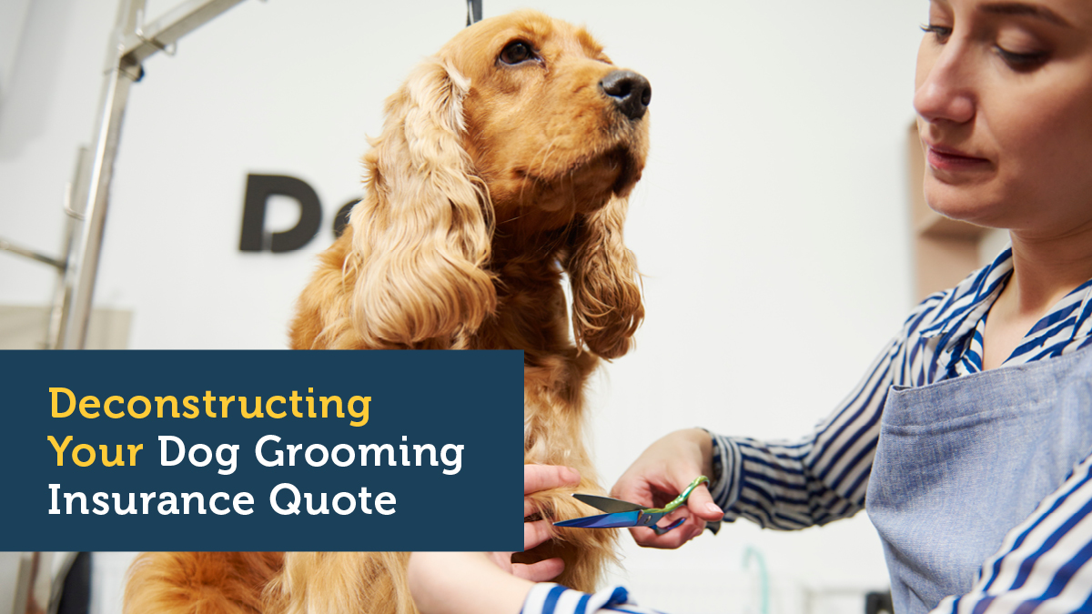 Deconstructing Your Pet Grooming Insurance Quote